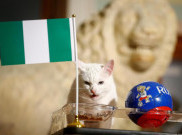 Prediksi Achilles Sang Kucing Peramal Akhirnya Meleset, Messi Selamat