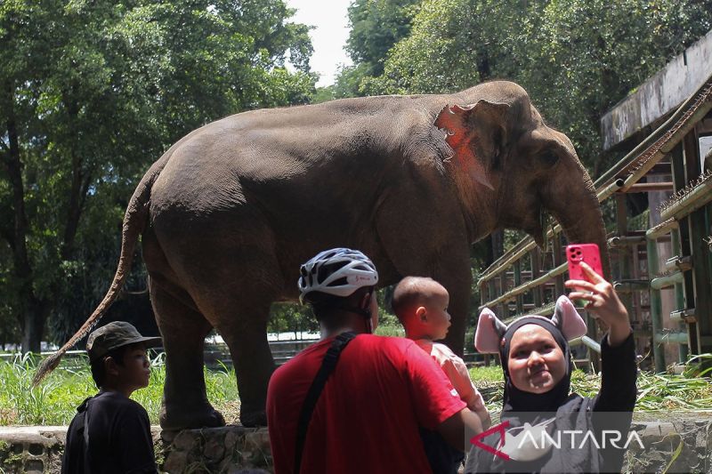 Libur Lebaran 2024, Taman Margasatwa Ragunan Siagakan 1.000 Petugas