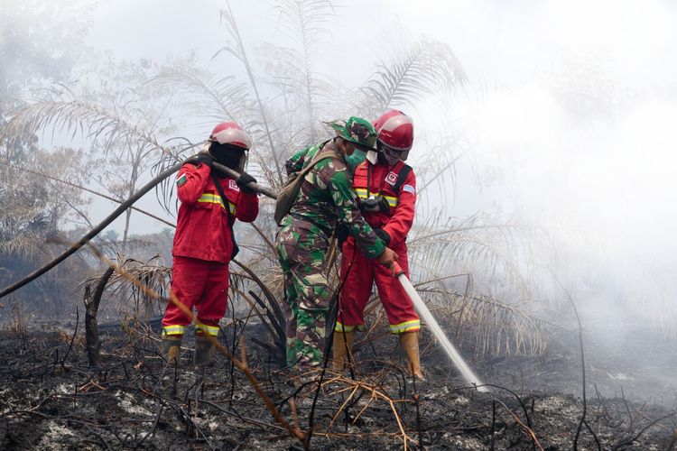 Pengamat Desak Polri Tuntaskan 98 Kasus Karhutla Korporasi, jangan Berhenti di Penyidikan