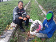 PT KCIC Tangkap Pencuri Kabel Grounding Bagian Pagar Sound Barrier Jalur Kereta Cepat