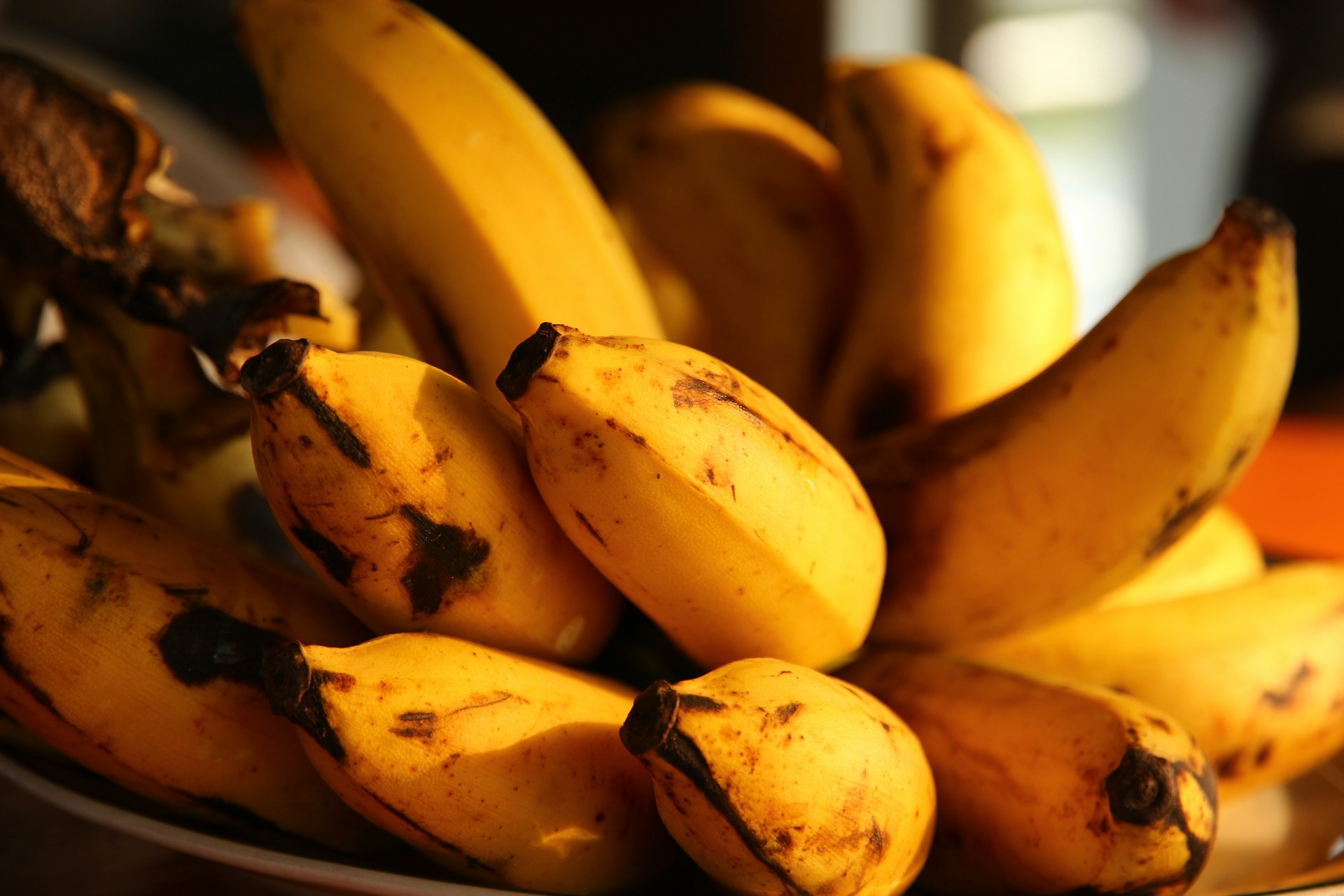 Infeksi Jamur Merebak, Pisang Cavendish Terancam Punah