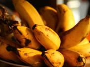Infeksi Jamur Merebak, Pisang Cavendish Terancam Punah