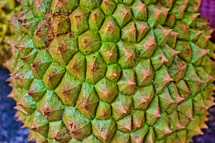 Mitos Soal Durian dari Manfaat Sampai Cara Memilihnya