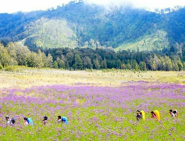 Bukit nan Indah, Destinasi Instagramable yang tak Boleh Dilewatkan