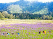 Bukit nan Indah, Destinasi Instagramable yang tak Boleh Dilewatkan
