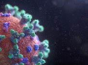 Belum Selesai Virus Corona, Kini Muncul Hantavirus