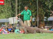 Liburan Akhir Tahun di Kebun Binatang Ragunan 