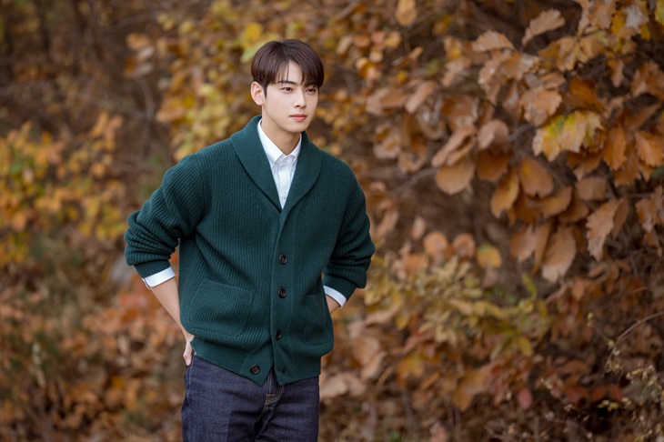 cha eun-woo