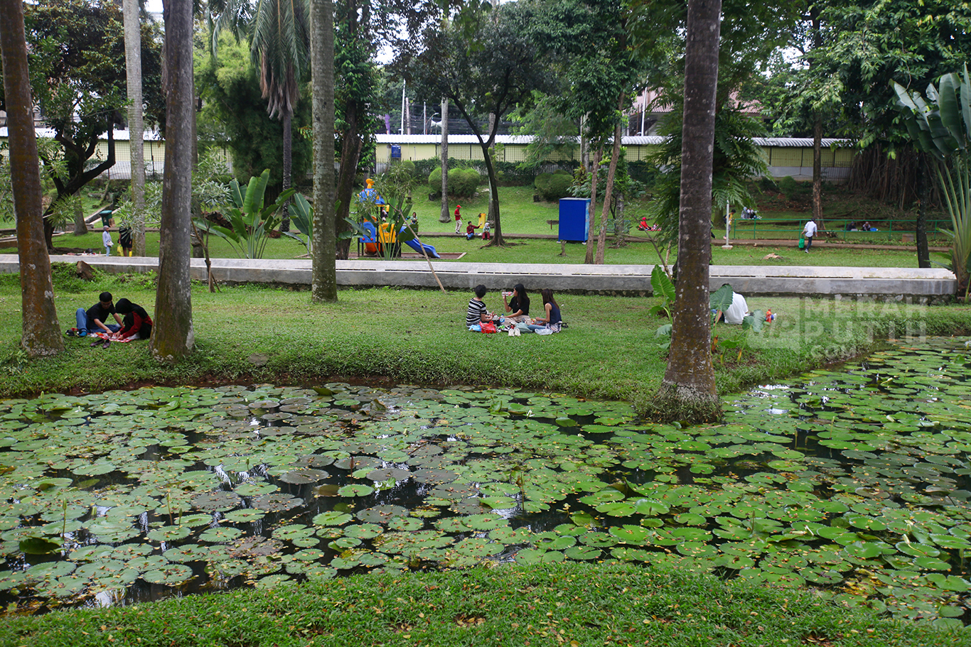 Ditemukan Kondom di Taman Buka 24 Jam, Ketua DPRD DKI Geram: Pertanda Tidak Ada Pengawasan