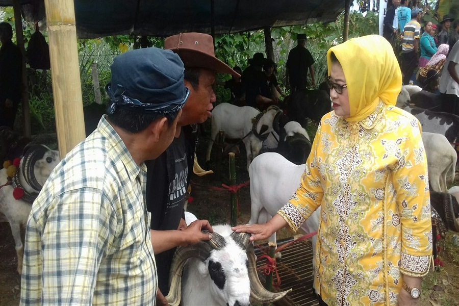Plt Bupati Subang bersama peternak domba Garut