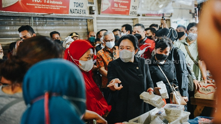Gerindra Tanggapi Rencana Safari Politik Puan Maharani