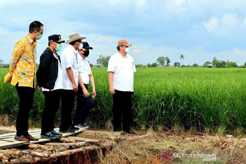 BNI Beri Pelatihan Bagi Petani Milenial