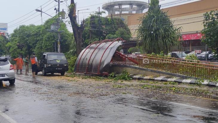 Petugas BPBD Solo mengevakuasi pohon tumbang yang mengenai enam siswa saat sedang berteduh di angkutan umum BST, Selasa (25/2). (MP/Ismail)