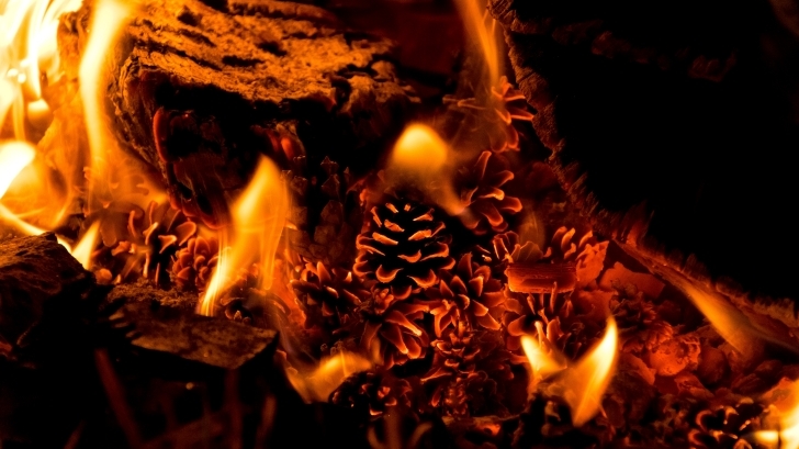 Kulit jeruk sangat mudah terbakar. (Foto: Unsplash/Thomas Bormans)