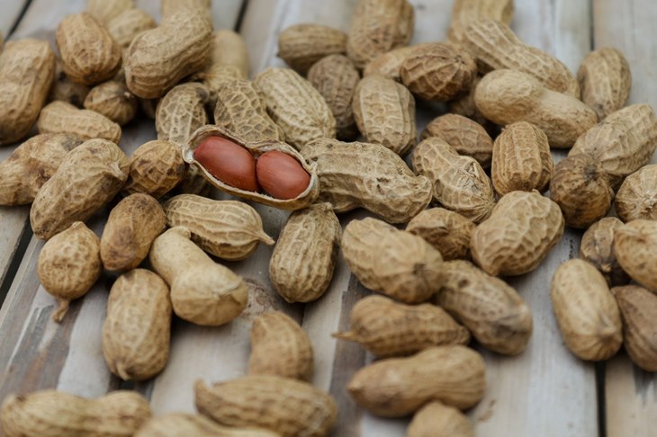 kacang biji