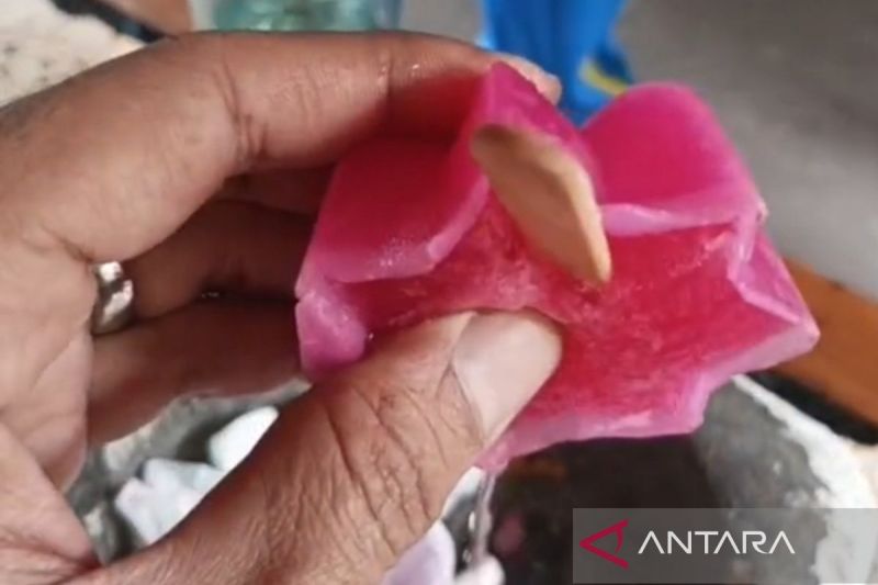 Akui Anak Buahnya Gegabah, Kapolres Jakpus Akan Bina Bhabinkamtibmas di Insiden 'Es Gabus'