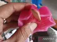 Akui Anak Buahnya Gegabah, Kapolres Jakpus Akan Bina Bhabinkamtibmas di Insiden 'Es Gabus'