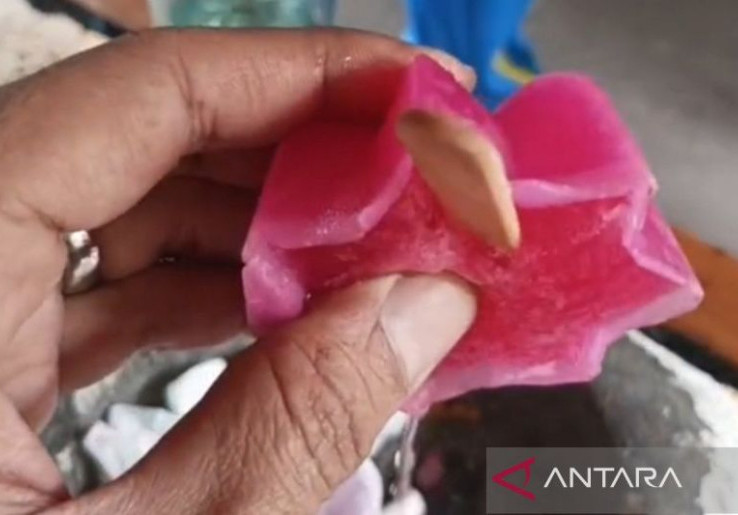 Akui Anak Buahnya Gegabah, Kapolres Jakpus Akan Bina Bhabinkamtibmas di Insiden 'Es Gabus'