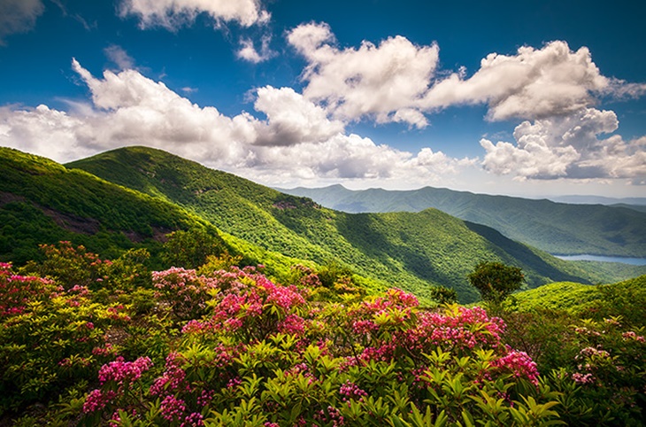 blue ridge parkway