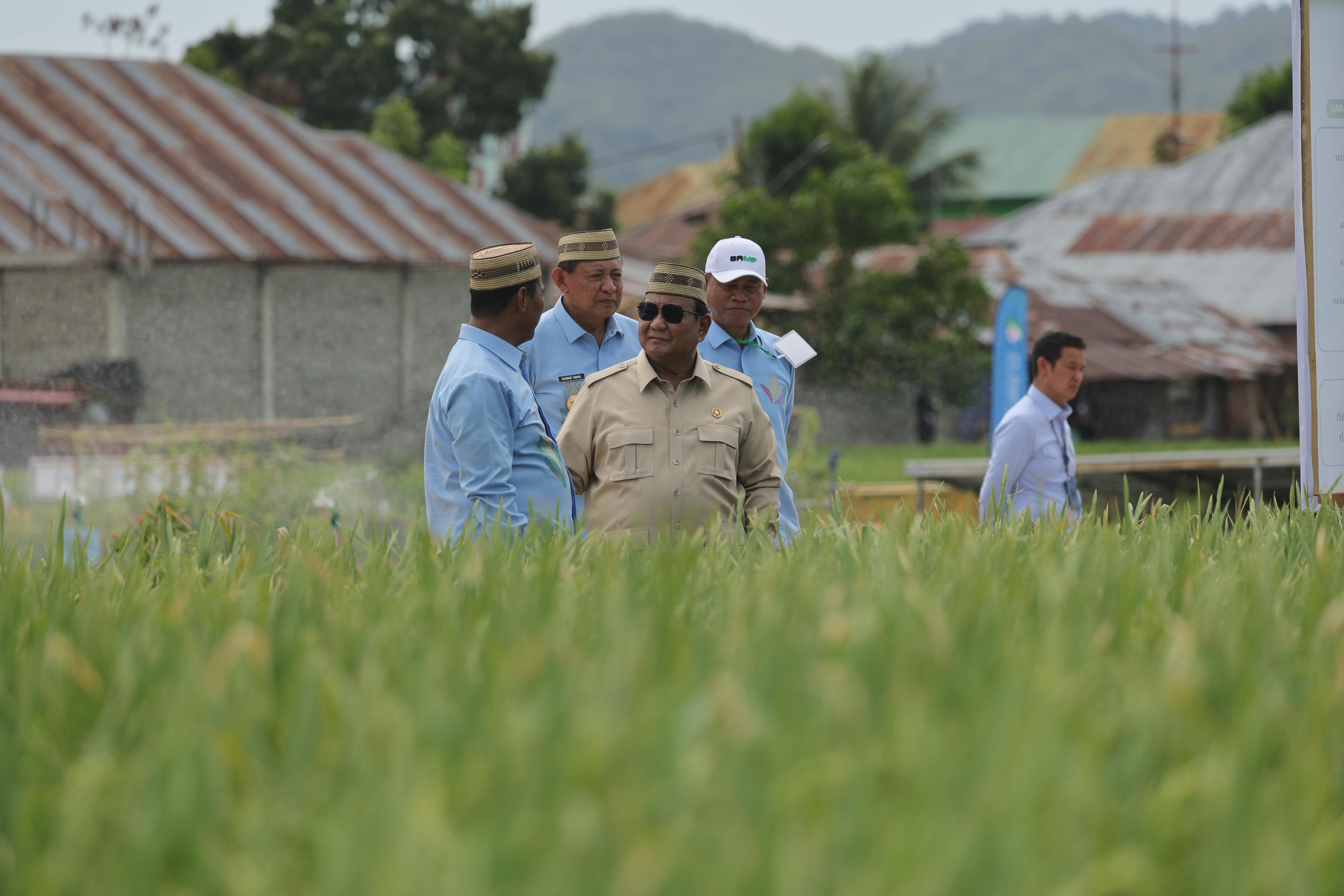 Prabowo Ungkap Indonesia Mau Buka Ekspor Bahan Pangan, Asal Petani Tak Rugi