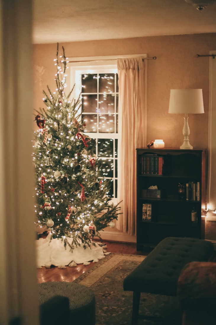 Manfaat Memasang Pohon Natal Sungguhan di Rumah