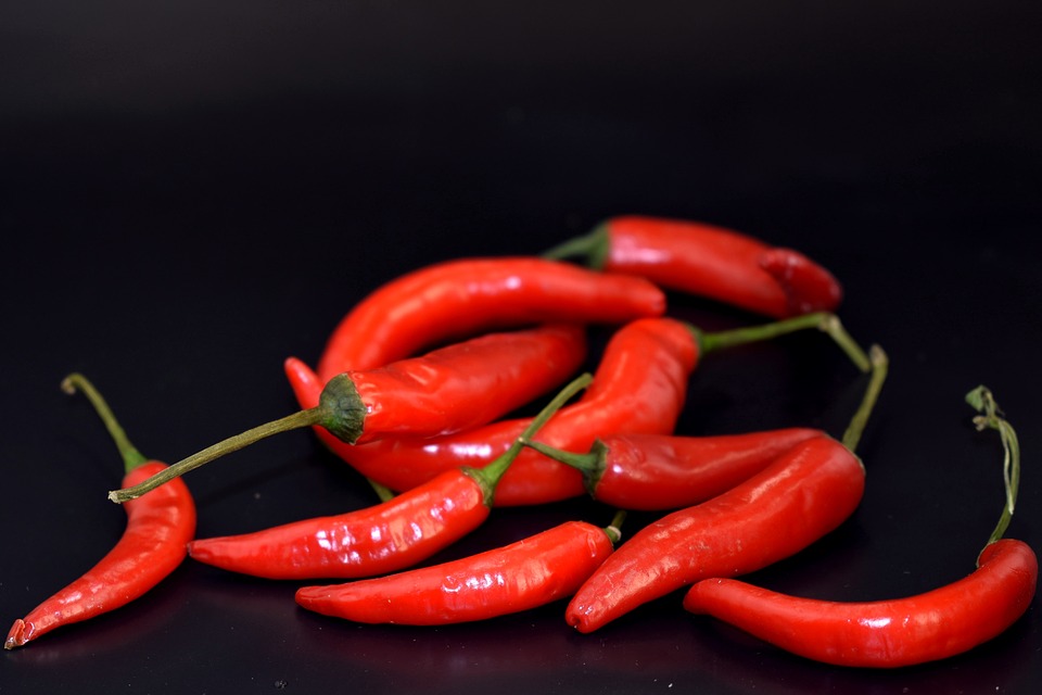 Cabe Rawit (Sumber: Pixabay/Enotovyj)