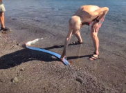 Ikan Laut Dalam Oarfish Muncul di Permukaan Pantai Meksiko, Warga Khawatir Ada Bencana karena Sering Disebut sebagai 'Ikan Kiamat'