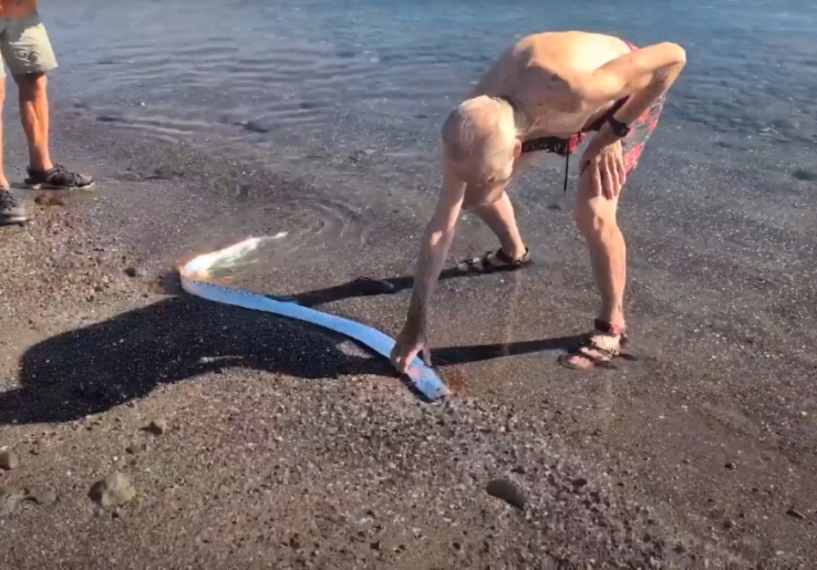 Ikan Laut Dalam Oarfish Muncul di Permukaan Pantai Meksiko, Warga Khawatir Ada Bencana karena Sering Disebut sebagai 'Ikan Kiamat'