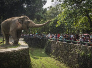  Hari Pertama Lebaran Taman Margasatwa Ragunan Tutup