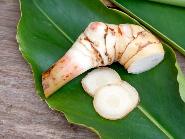 lengkuas