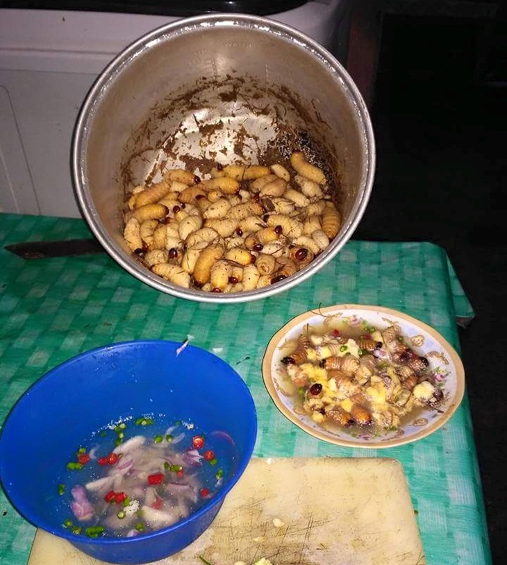 Batra bisa dimasak dengan cara ditumis. (Foto: facebook.com/why.stiee)