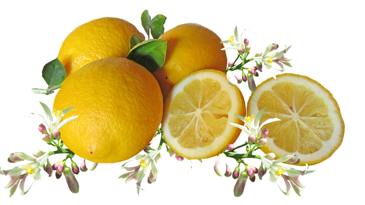 Suka Konsumsi Lemon? Berikut Manfaat dan Resepnya untuk Diet