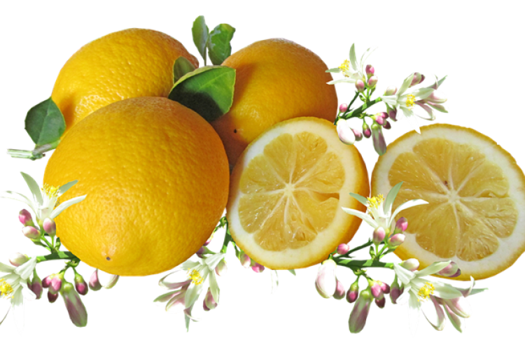 Suka Konsumsi Lemon? Berikut Manfaat dan Resepnya untuk Diet