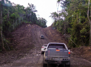 Jalan Perbatasan Indonesia-Papua Nugini Tersambung 2019