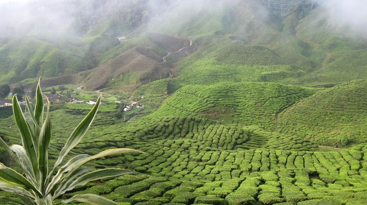 5 Destinasi Tercantik di Asia Tenggara