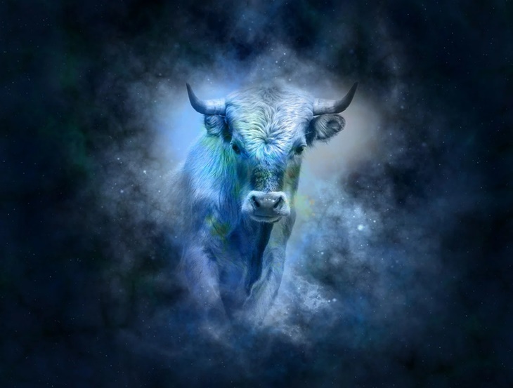 taurus