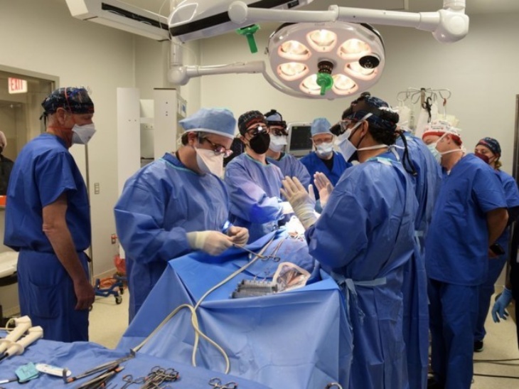 Orang Pertama dengan Transplantasi Jantung Modifikasi Meninggal Dunia