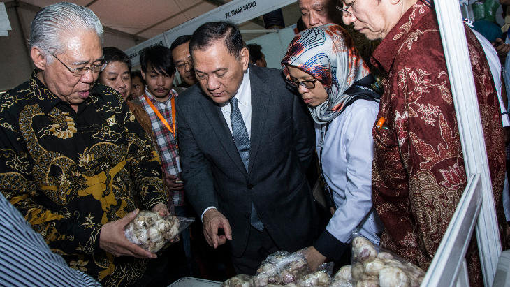 Mendag Tinjau Stok Dua Komoditas Andalan di Tangerang