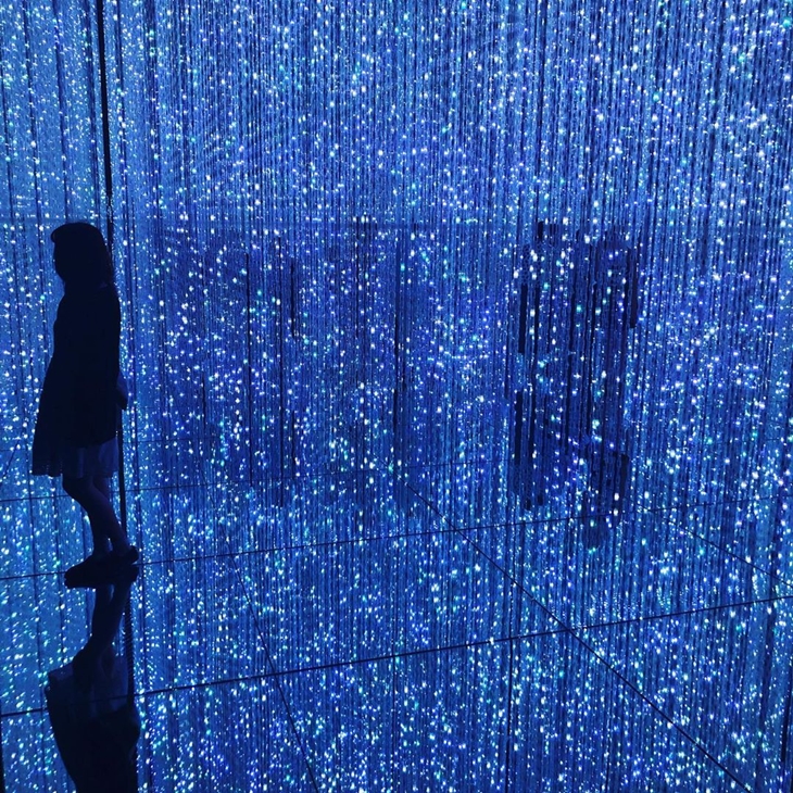 Mori Building Digital Art Museum. (Foto: instagram.com/shelleyan_orphan)