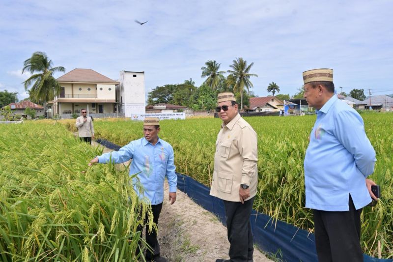 Prabowo Ingin Tiap Desa Swasembada, Bakal Tercapai Dengan Inovasi