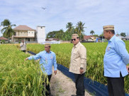 Prabowo Ingin Tiap Desa Swasembada, Bakal Tercapai Dengan Inovasi