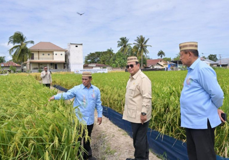 Prabowo Ingin Tiap Desa Swasembada, Bakal Tercapai Dengan Inovasi