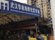 Lagi, Tiongkok Tutup Pasar Ikan Setelah Ditemukan Kasus Baru Corona