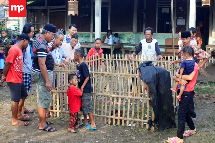 Diduga Makhluk Babi Ngepet Gegerkan Warga Panongan Tangerang