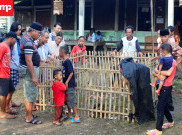 Diduga Makhluk Babi Ngepet Gegerkan Warga Panongan Tangerang