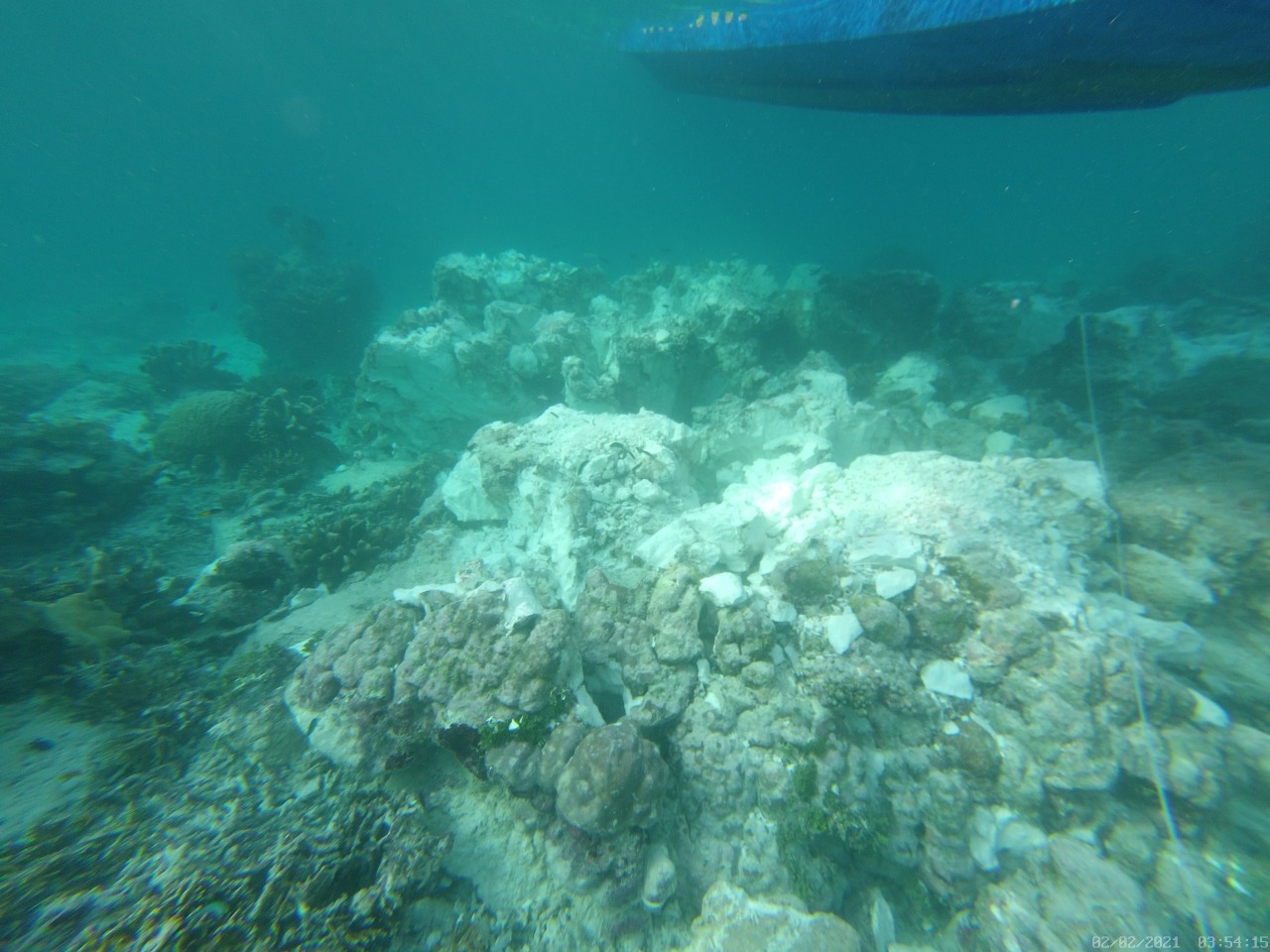 Kapal Kandas di Raja Ampat, KKP Kumpulkan Bukti Kerusakan Terumbu Karang