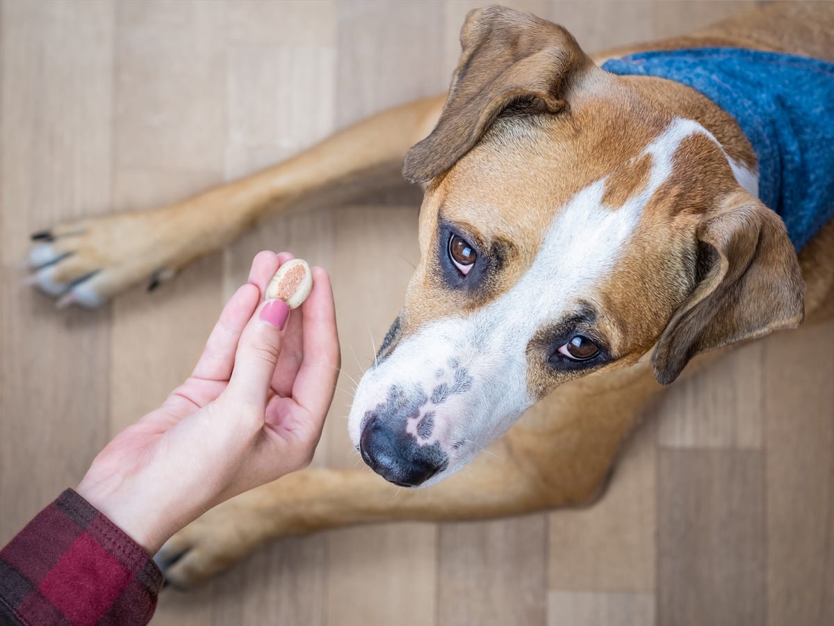 Tanda ketidaksukaan yang cukup parah. (Foto insider)
