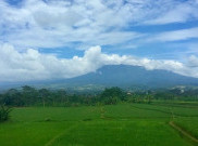 PVMBG Pastikan Gunung Gede-Pangrango dan Salak Berstatus Normal