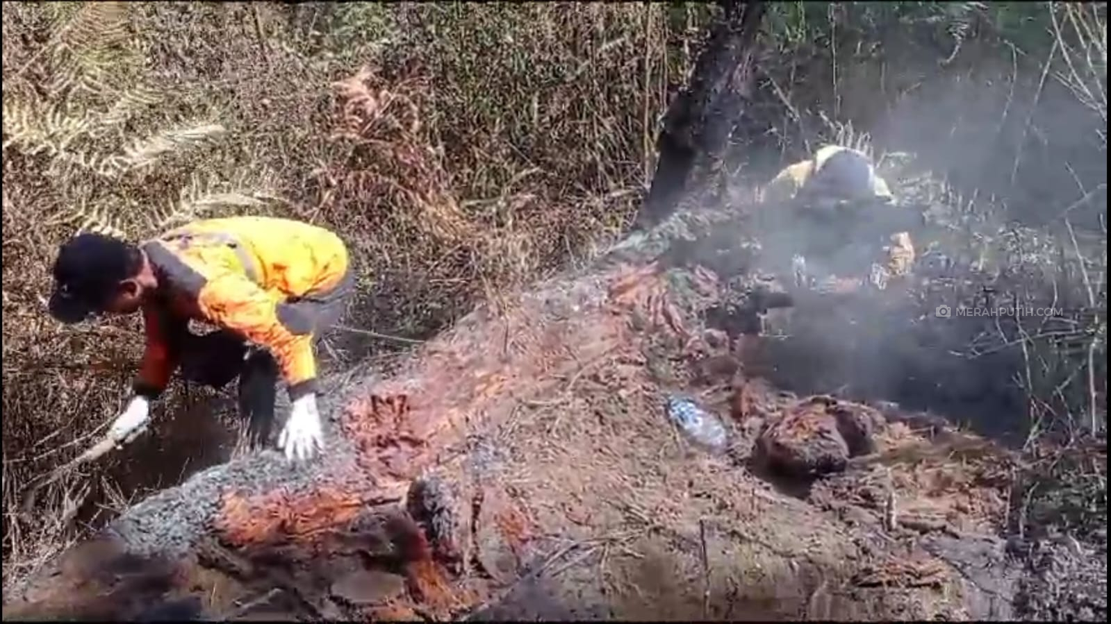 Kebakaran Hutan Gunung Lawu Padam, Perhutani Lakukan Penyisiran