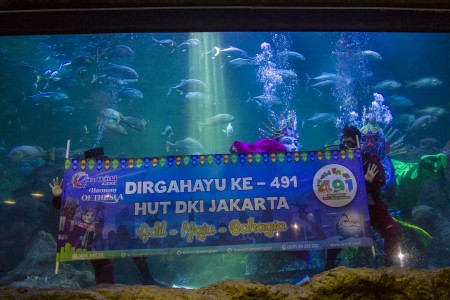 Ramaikan HUT Jakarta ke-491, Ondel-Ondel Menyelam di Akuarium Seaworld